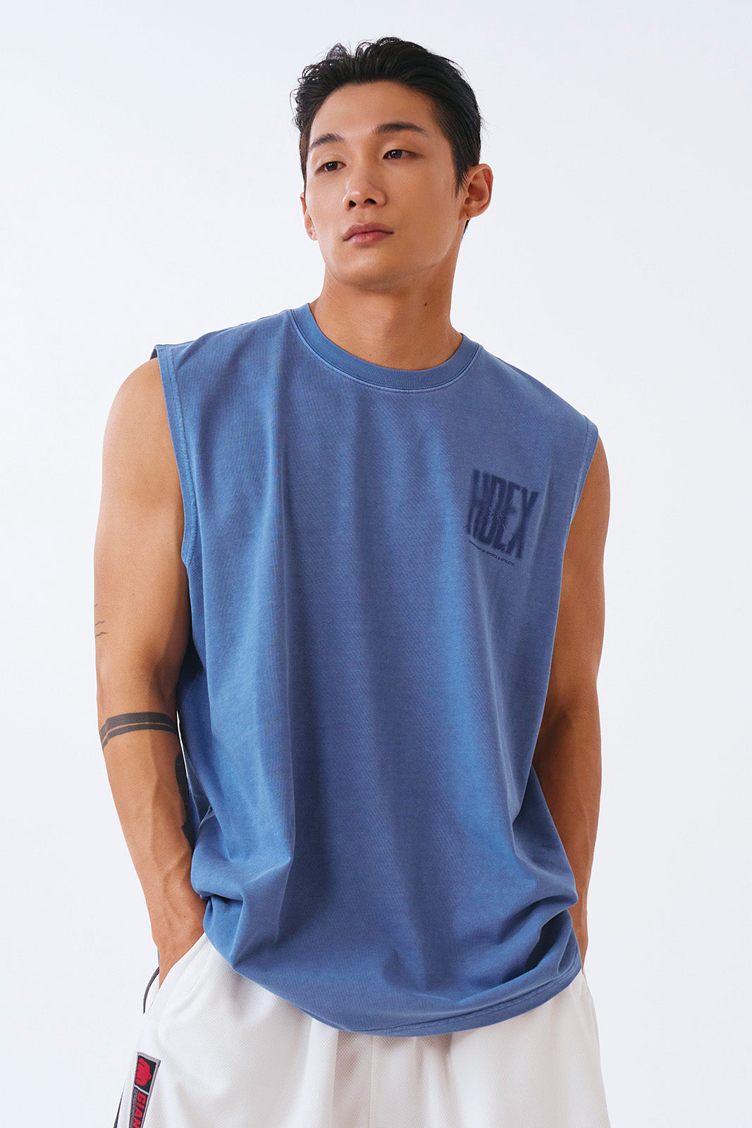 Pigment Ash Blue