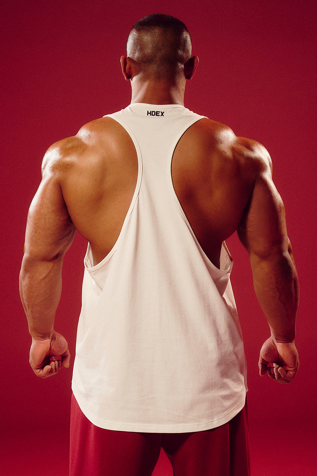 Strong Dexter Tiger Stringer