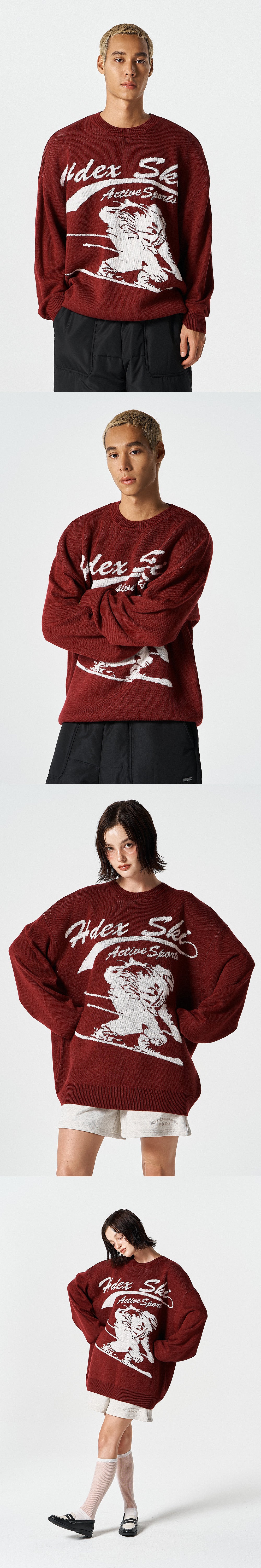 Over Fit Ski Knit