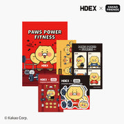 HDEX x KAKAO FRIENDS Choonsik Sticker Pack